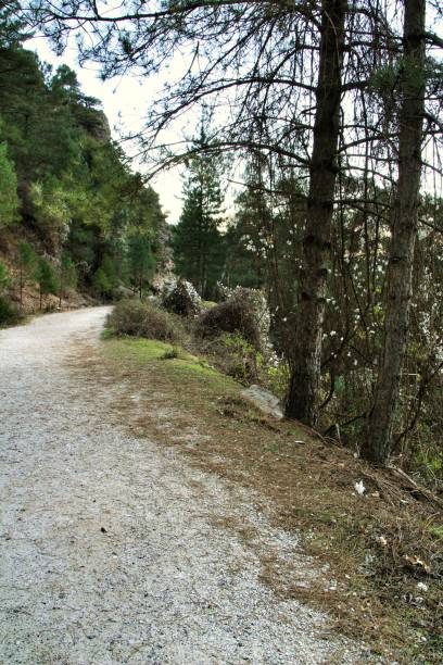 istock Mountain landscape and path between green vegetation in winter 1129380697