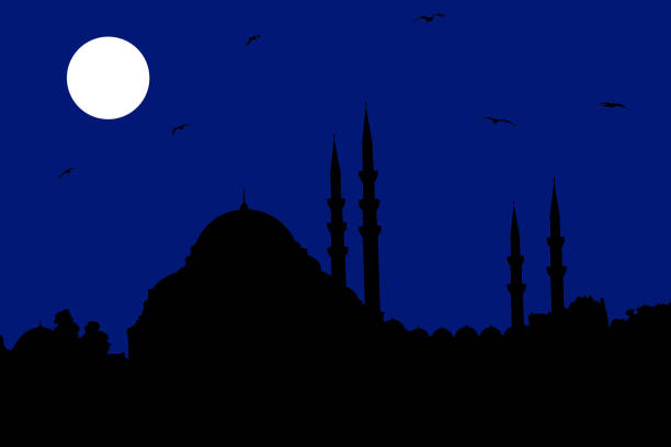 istock Vector Silhouette of The Suleymaniye Mosque at Istanbul 1129382865