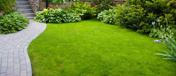 istock Detail of a botanical garden 1129386881