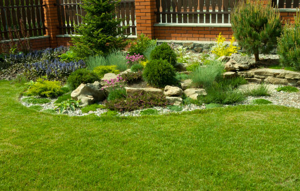 istock Detail of a botanical garden 1129386884