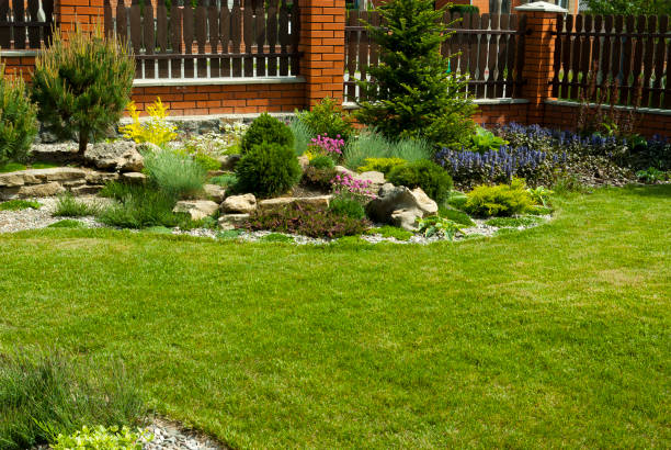 istock Detail of a botanical garden 1129386887
