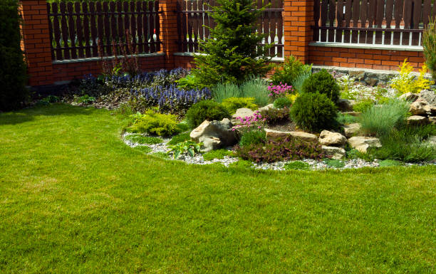 istock Detail of a botanical garden 1129387570