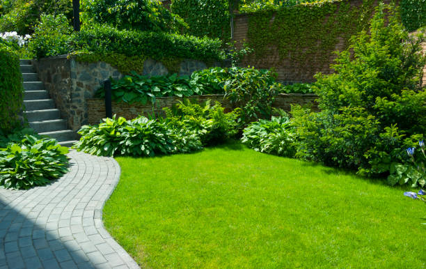 istock Detail of a botanical garden 1129387572