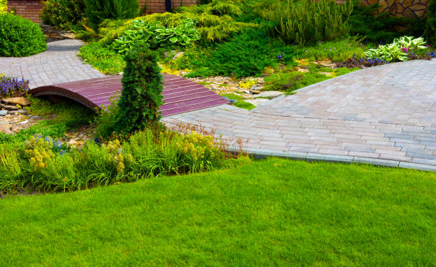 istock Detail of a botanical garden 1129387582