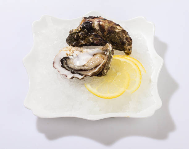 istock Oysters on a plate of ice. 1129389789