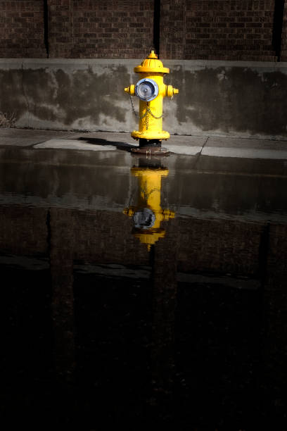 istock Fire hydrant with large water puddle reflection and building in urban setting city town 1129391253