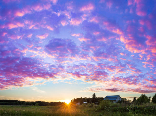 beautiful rural summer landscape panorama with sunset. purple scenery with clouds in sky, panoramic view