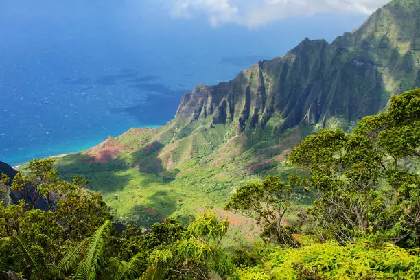 Kauai, Hawaii, USA: Na Pali Coast overview (Kalalau Lookout at Koke`e State Park)