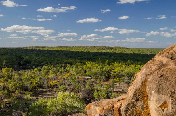 View of the endless bushland in Undara Volcanic National Park.