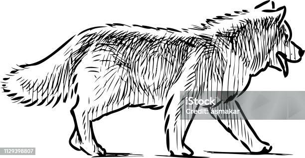 Sketch Of A Strolling Guard Dog Stock Illustration - Download Image Now - Animal, Animal Body Part, Animal Themes