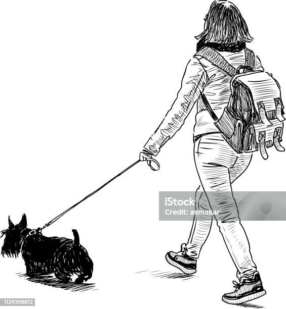 Sketch Of A Townswoman With Her Dog Going On A Stroll Stock Illustration - Download Image Now