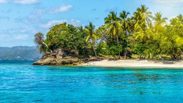 istock Paradise island with white beach, palm trees and turquoise waters. 1129401768
