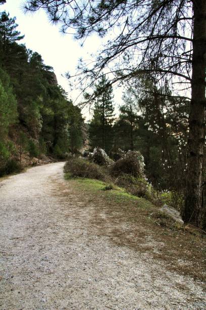 istock Mountain landscape and path between green vegetation in winter 1129402011