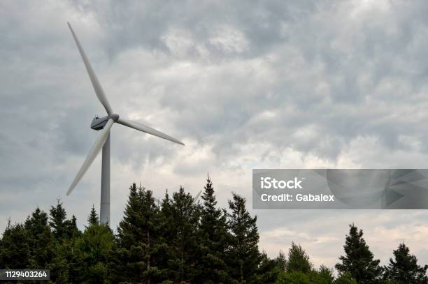 Wind Turbine Stock Photo - Download Image Now - Forest, Wind Turbine, Technology