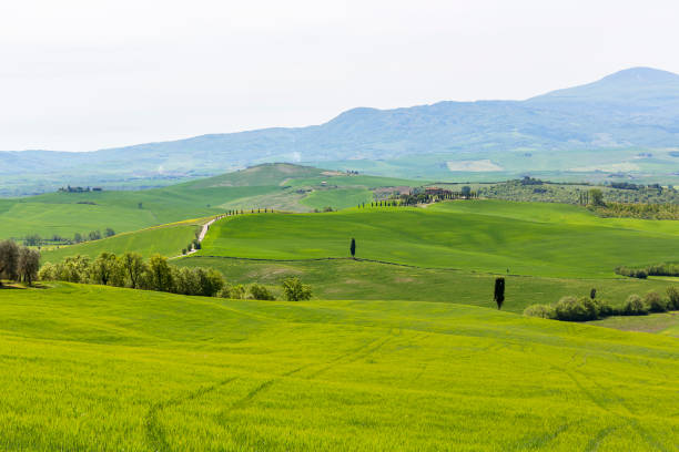 istock View of a hilly rural Italian landscape 1129403602