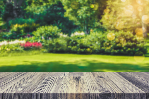 Empty table top for product display montage. Green garden blurred in the background. Gardening and spring concept.