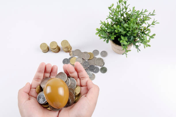 istock Cropped Hands Holding Coins With Gold Egg On White Background 1129406241