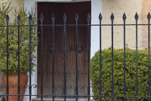 istock Wooden door 1129408888