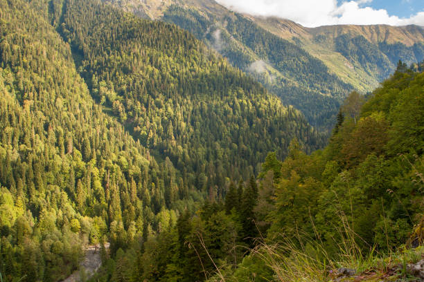 istock Mountain landscape in Abkhazia. 1129411187