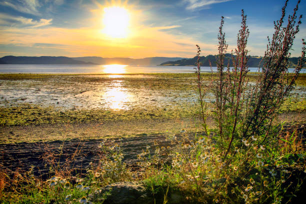 istock sunset at Trondheim fjord 1129411236