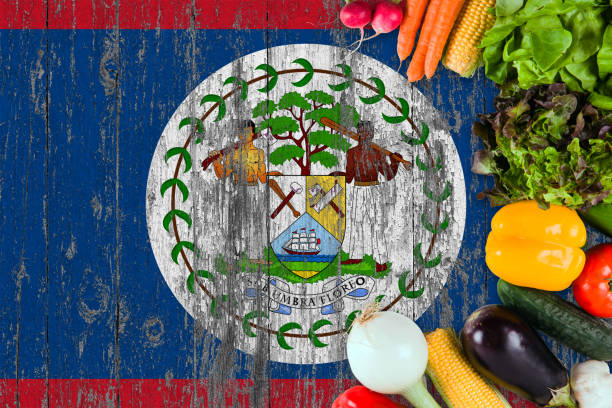 istock Fresh vegetables from Belize on table. Cooking concept on wooden flag background. 1129415696