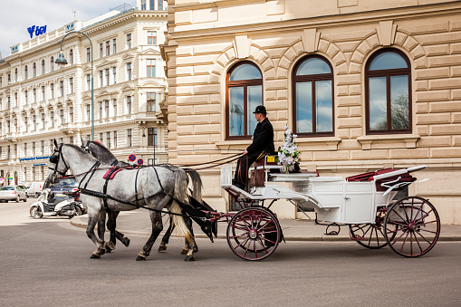 Vienna, Austria - April, 2018: Vintage horse-drawn carriage riding on the Bankgasse street next to the Hofburg Theater