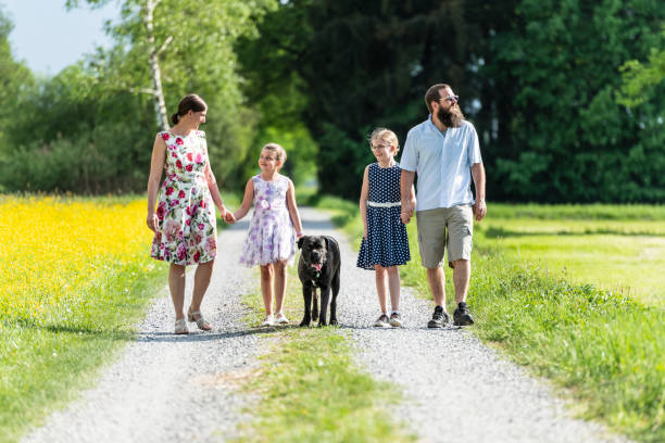 istock Family walking outdoors with the dog 1129419647