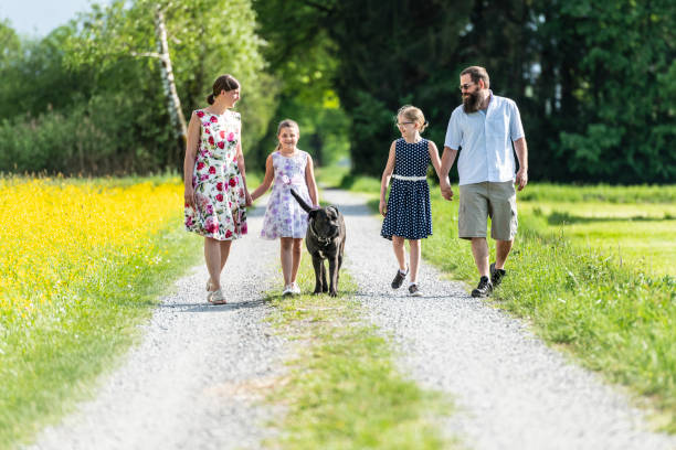 istock Family walking outdoors with the dog 1129419651