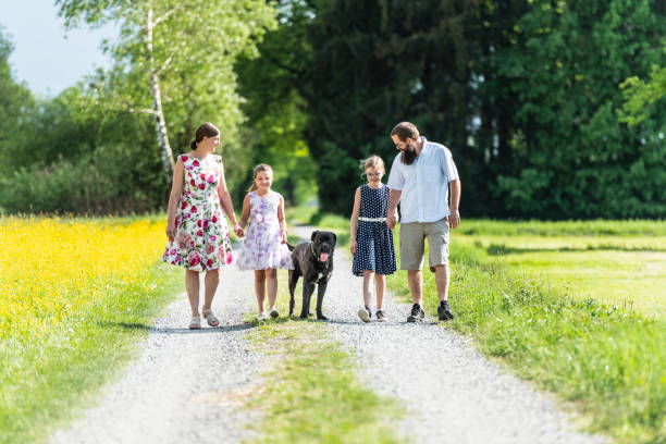 istock Family walking outdoors with the dog 1129419654