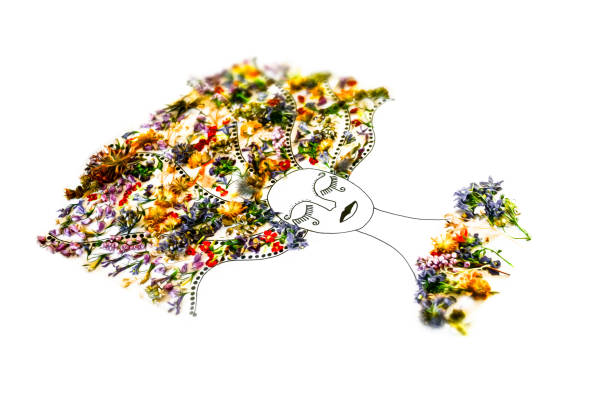 Drawing of woman face with hair made from Irish wild flowers