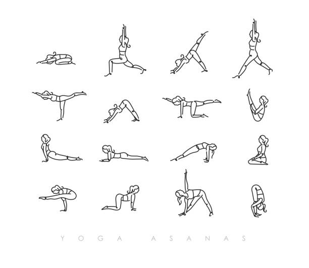 Yoga asanas pen line pen line hand drawing girls in yoga asanas in light style drawing with color on white background pilates stock illustrations