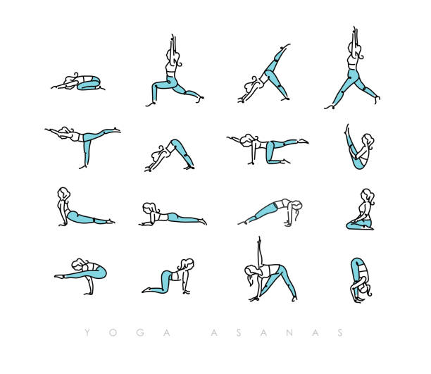 Yoga asanas pen line color Pen line hand drawing girls in yoga asanas in light style drawing with color on white background pilates stock illustrations