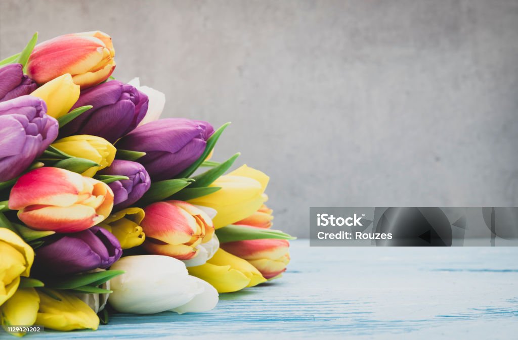 Tulip Bouquet - Lizenzfrei Blumenbouqet Stock-Foto
