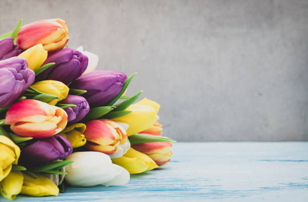 букет тюльпанов - tulip bouquet стоковые фото и изображения