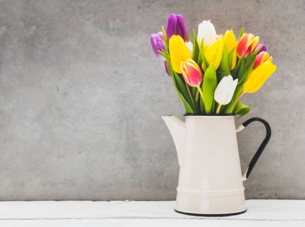 Fresh tulip flowers with space on text