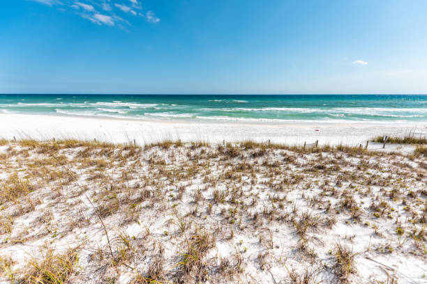 día de miramar playa ciudad ciudad pueblo de destin, estados unidos en florida panhandle golfo de méxico océano agua dunas plantas avena de mar - beach florida atlantic ocean wave fotografías e imágenes de stock