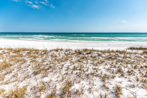 destin, сша мирамар пляж города день города в флорида юный залив мексики океан песчаные дюны растений морской овес - pensacola стоковые фото и изображения