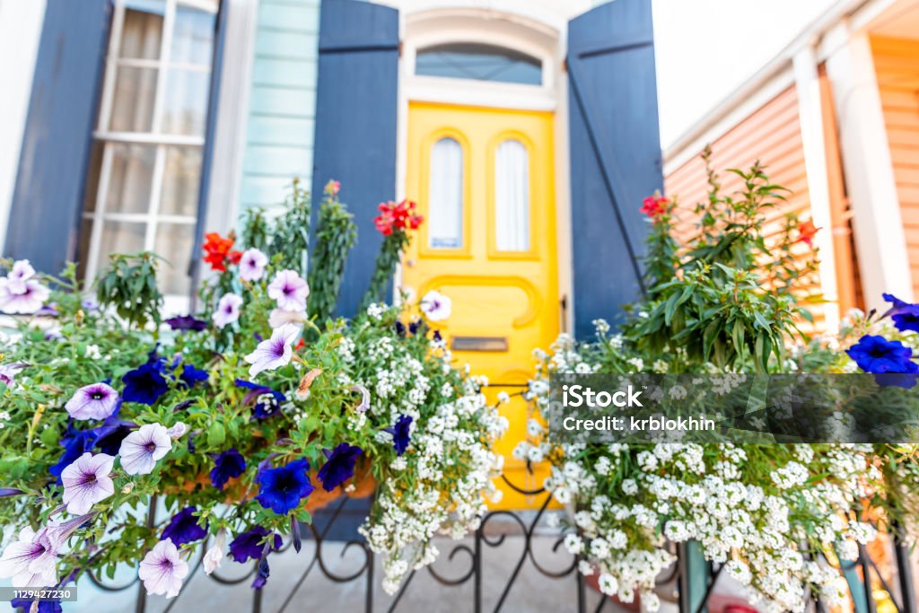 Closeup de la cesta de flores púrpura y azul calibrachoa petunia colgando en la valla de colores partiendo de entrada de la casa y nadie acera en Nueva Orleans, Estados Unidos - Foto de stock de Primavera - Estación libre de derechos