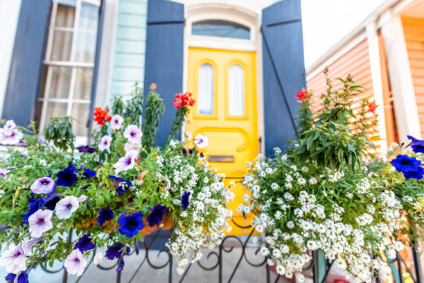 closeup of purple and blue calibrachoa petunia flowers basket hanging on fence by colorful building house entrance and nobody on sidewalk in new orleans, usa - city of tool imagens e fotografias de stock