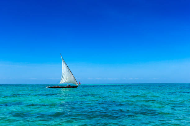 istock sea in Zanzibar beach 1129427480