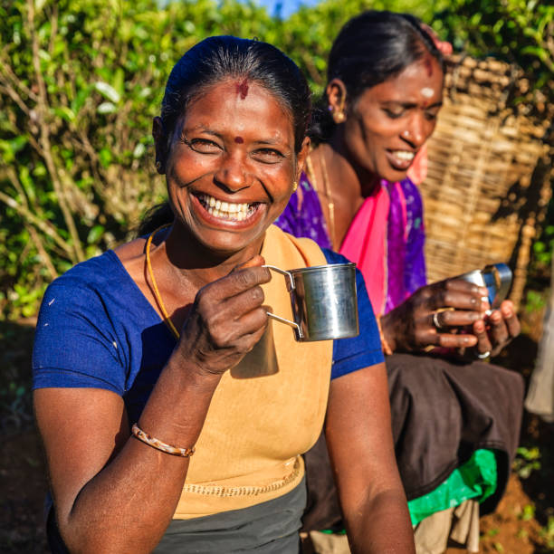 istock Tamil women drinking fresh tea on plantation, Ceylon 1129430547