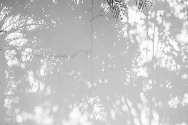 istock Low Angle View Of Trees Against Sky 1129431241