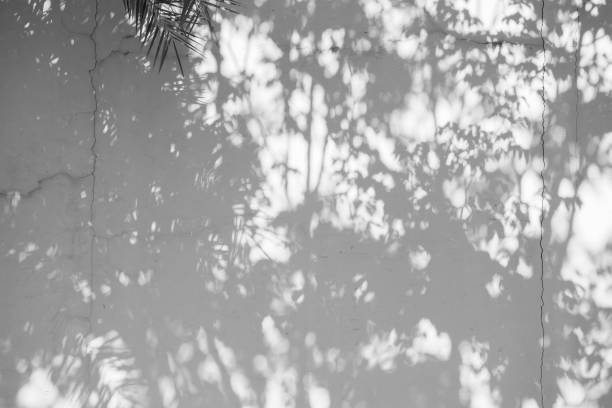 istock Full Frame Shot Of Trees In Winter 1129431242