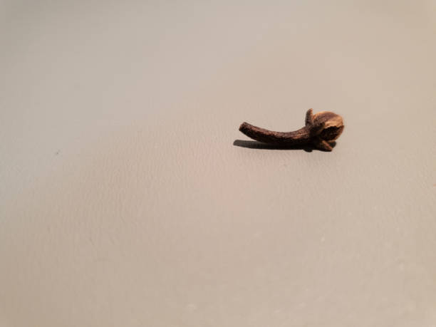 istock Dried cloves close-up. Carnation Seasoning. 1129432373