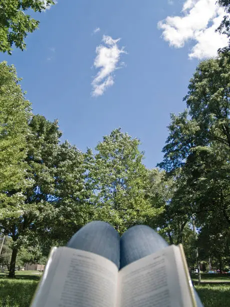 view from the main subject of a person reading a book stretched on the ground a park