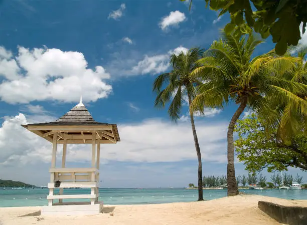 Watchtower wooden hut on a paradisiacal beach with palm trees and white sand on a summer day with blue sky