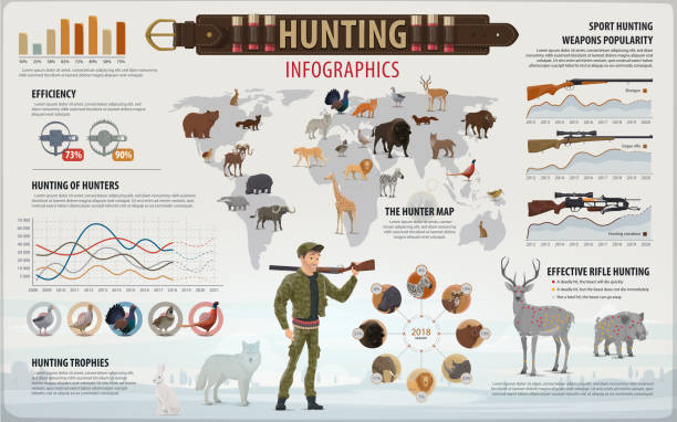 jagd-sport-infografik mit jäger und tiere - jahreszeit grafiken stock-grafiken, -clipart, -cartoons und -symbole