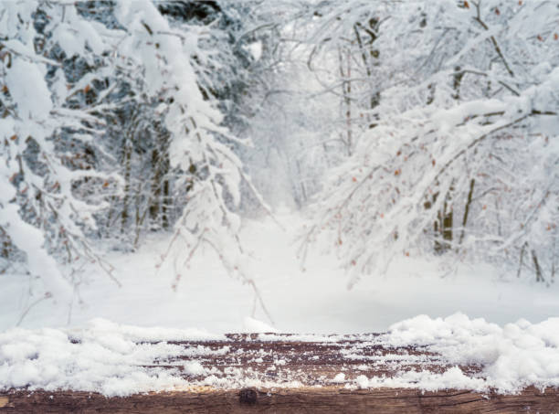 雪に覆われた冬の森の背景�。美しい小ぎれいな木パターン、雪を付着。 ストックフォト