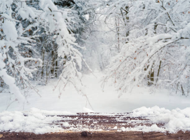 istock Snowy winter forest background. Beautiful spruce trees pattern, sticked with snow. 1129438021