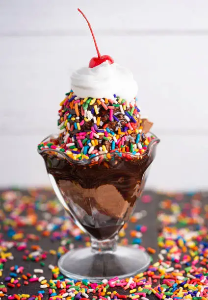 A Chocolate Ice Cream Sundae with Chocolate Syrup and Rainbow Sprinkles